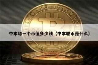 中本聪一个币值多少钱（中本聪币是什么）