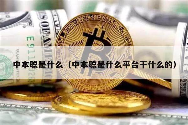 中本聪是什么（中本聪是什么平台干什么的）-第1张图片-欧易下载