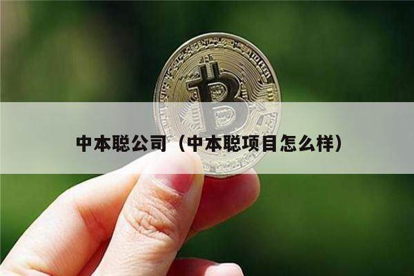 中本聪公司（中本聪项目怎么样）-第1张图片-欧易下载