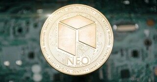 no币价格今日行情一览