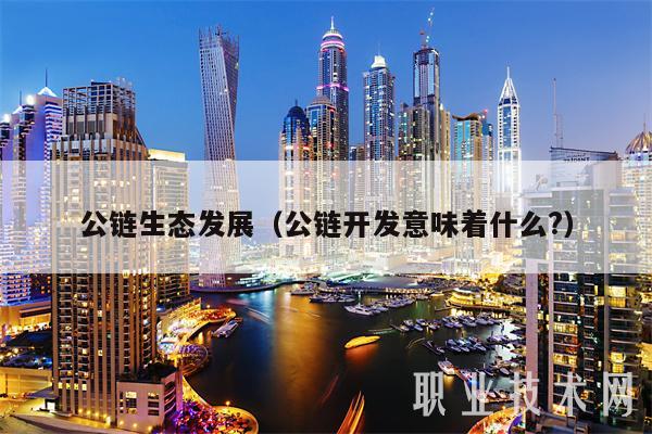 公链生态发展（公链开发意味着什么？-第1张图片-欧易下载