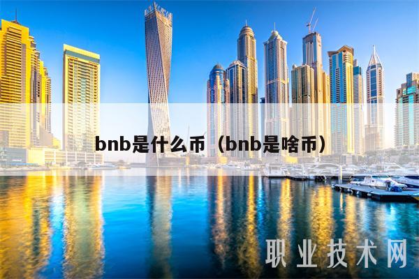 bnb是什么币（bnb是啥币-第1张图片-欧易下载