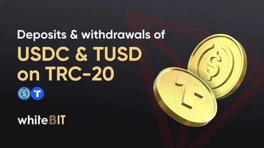 trc20钱包官网版下载_trc20钱包最新官方下载v1.0.0-第3张图片-欧易下载