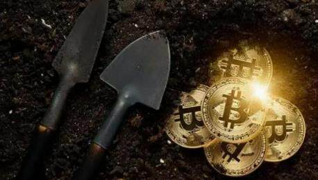 shib币今天价格(shib币今日的价格行情)-第1张图片-欧易下载