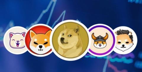 什么是mm模因币？投资Mm币需要关注哪些因素？