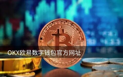 虚拟币钱包(虚拟币钱包密码忘了怎么办)-第1张图片-欧易下载