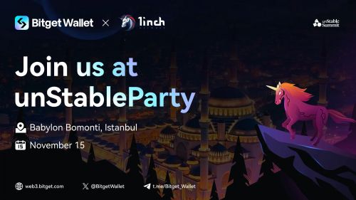 Bitgt Wallt出席Dvconnct Istanbul，与1inch联合主办线下活动