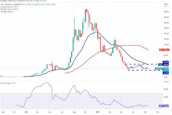 sol币今日最新价格 索拉纳币最新行情消息-第3张图片-欧易下载