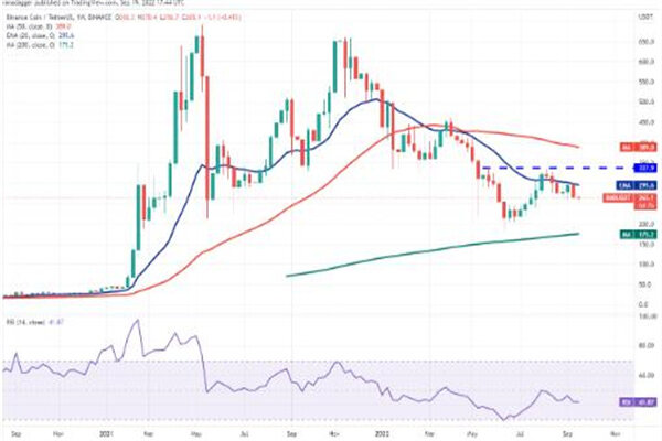 币安币最新价格行情美元 BNB最新趋势消息-第3张图片-欧易下载