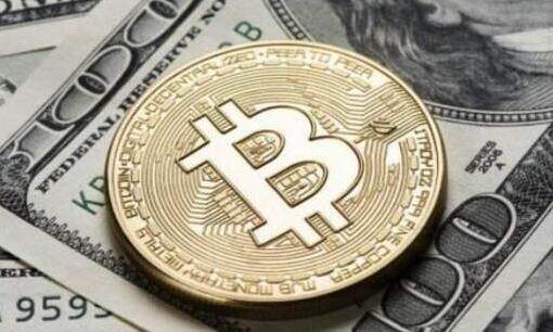 2017年狗狗币交易平台(2018年狗狗币交易平台)-第1张图片-欧易下载