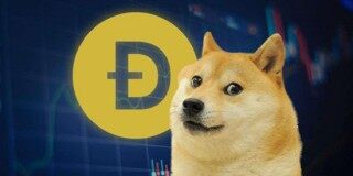 狗狗币DOG值得长期持有吗 未来前景怎么样