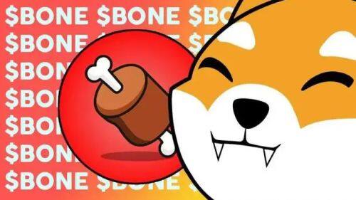 什么是Bone ShibaSwap(BONE)币-第1张图片-欧易下载