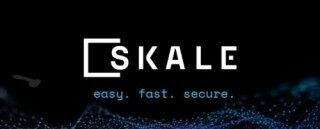 什么是SKAL Ntwork (SKL)币?