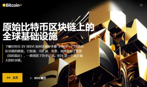 BSV币是什么币种-第1张图片-欧易下载