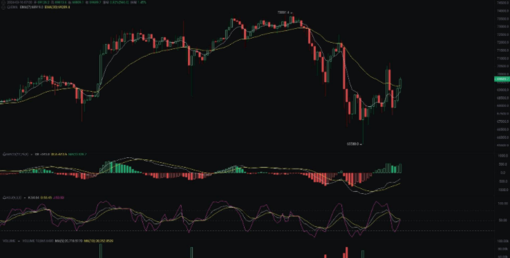 一文了解:主流币和山寨币的区别