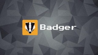 什么是Badger DAO币