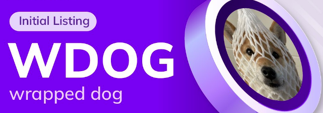 如何轻松进行 Wrapped Dog 到其他币种的转换?