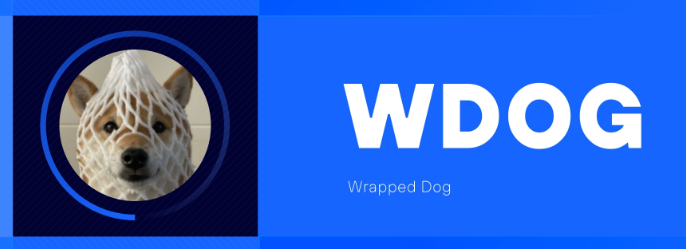 Wrapped Dog 的历史最高价是什么,它如何影响市场趋势?