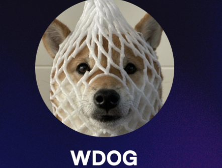 为什么选择 wrapped dog 代币作为投资？