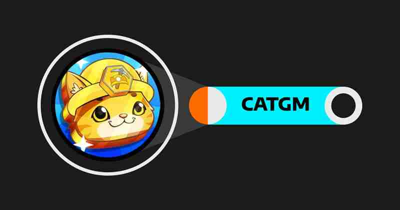 什么是Cat Gold Miner(CATGM)币？TON上一款有趣的猫主题放置游戏