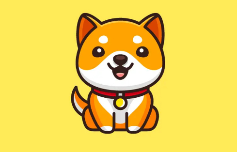 BabyDoge币的安全性如何?