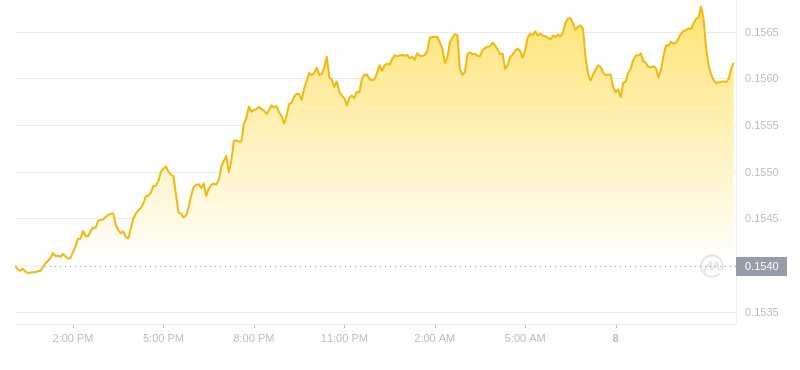 2024年10月08日波场币价格