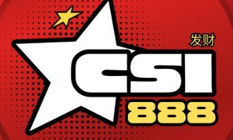 CSI币的发行价格是什么?