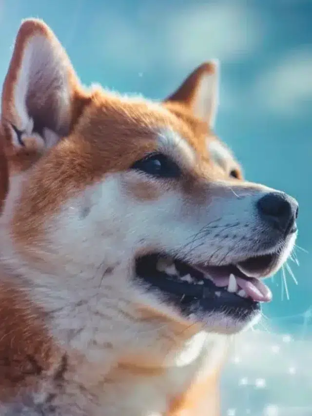 随着埃隆·马斯克（Elon Musk）的失望