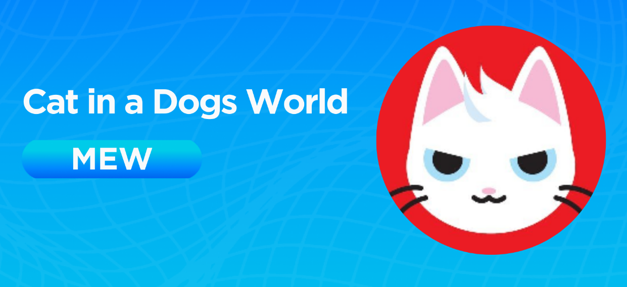 MEW属于什么币种?MEW币哪些交易所可以买到?