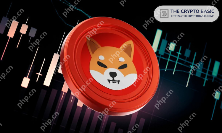 尽管具有模因启发的起源,但行业专家还是将Shiba Inu确定为加密项目之一,具有持久的潜力并保持了数十年的关系。