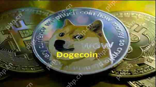 今天的Dogecoin(Doge)价格 - 获取实时Doge/pkr&Doge/USD报价
