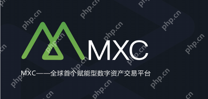 mxc币的价格实时走势如何 mxc币未来5年估值 - php中文网