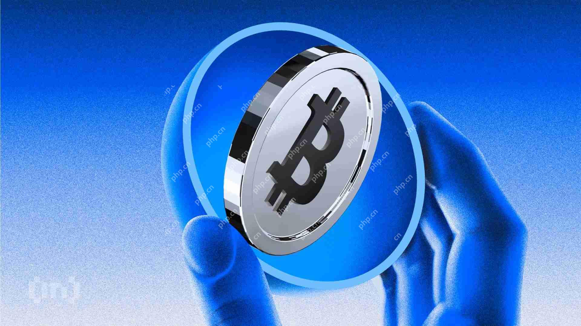 比特币最近的集会引起了投资者的关注，因为它的价格接近105,000美元