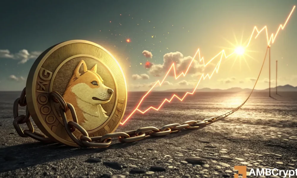 Dogecoin(Doge)看到鲸鱼累积了600m硬币,价格上涨了46%