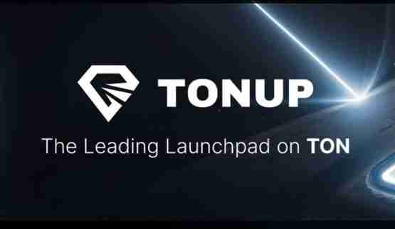 明星级Launchpad平台TonUP高点下跌99%!TON走向灭亡?
