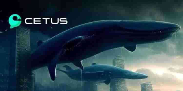 CETUS币为什么不上币安?CETUS币不上币安的原因分析