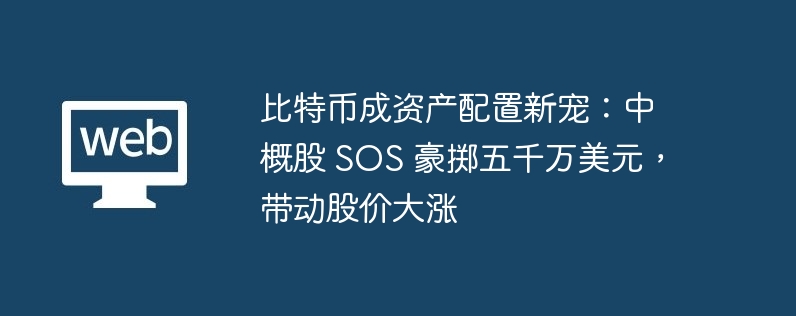 比特币成资产配置新宠:中概股 sos 豪掷五千万美元,带动股价大涨