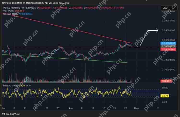 从 $0.001 到 $1?三大不容忽视的迷因币