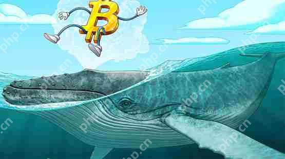 比特币鲸鱼吸收了新挖矿比特币供应的300%—下一个目标是10万美元吗？