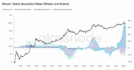 比特币鲸鱼吸收了新挖矿比特币供应的300%—下一个目标是10万美元吗？