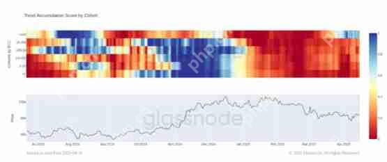 比特币鲸鱼吸收了新挖矿比特币供应的300%—下一个目标是10万美元吗？
