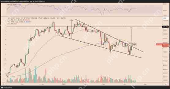 比特币鲸鱼吸收了新挖矿比特币供应的300%—下一个目标是10万美元吗？