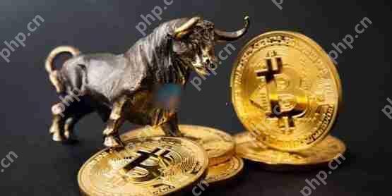 一文了解比特币减半满周年、涨逾三成！机构进场加速牛市