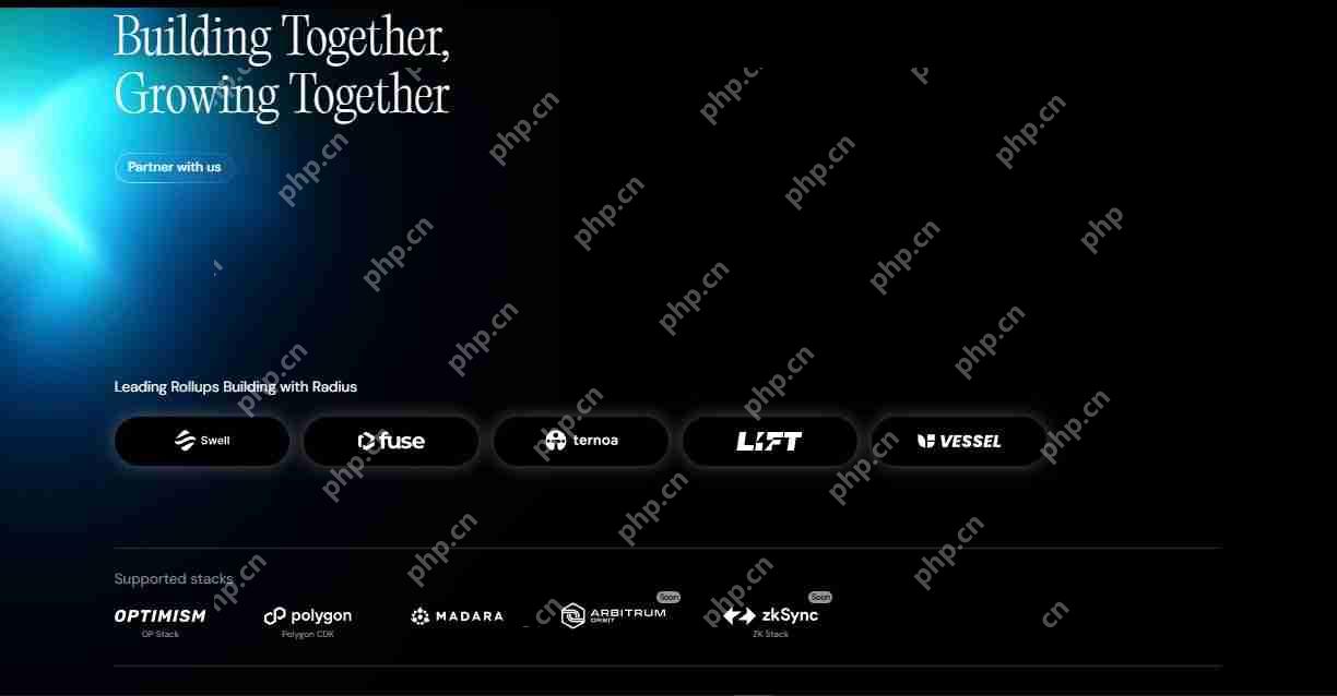 Radius是什么？Radius如何运行、背景、特点、路线图解读
