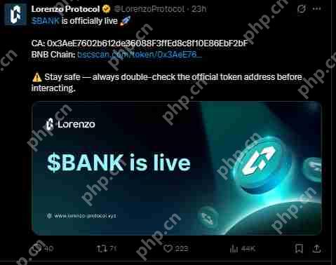 Lorenzo Protocol 的 BANK 暴涨后将如何发展?是反弹还是回调?