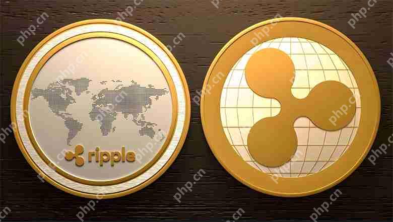 XDC 与XRP：哪一个对投资更有吸引力？