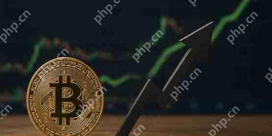 国际清算银行bis分析：全球经济压力下比特币使用量逆势增长