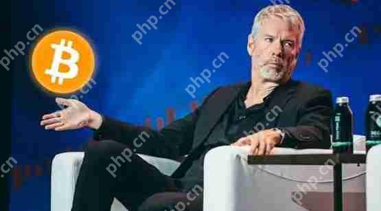 michael saylor分析:比特币未破新高原因是市场正进入筹 码轮动期