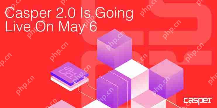 Casper(CSPR)是什么?专为开发者和企业打造的区块链网络