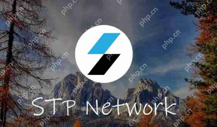 STPT币前景如何?会涨到10元吗?STPT币未来价格预测